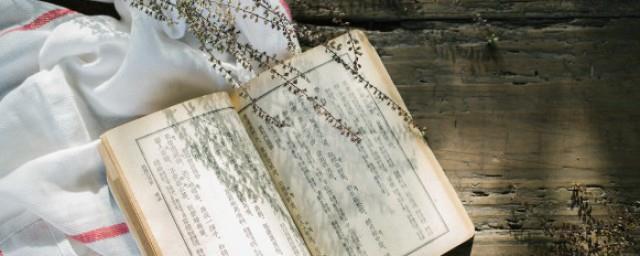 梓涵代表什么意思