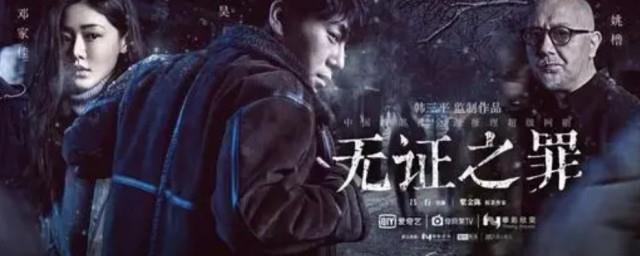 无证之罪剧情简介