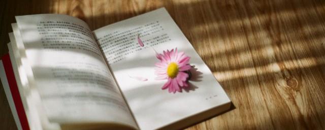 相思入骨的诗句