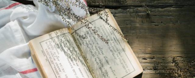 凡心所向皆是虚妄这句话的意思