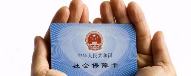 怎么查社保积分
