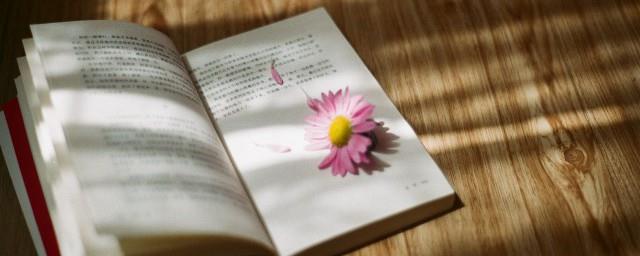 有格局成熟的文案
