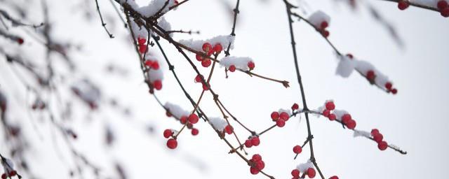 小雪节气发朋友圈的说说