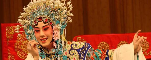 大青衣是什么意思