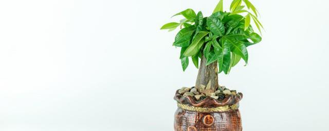 办公室招财风水
