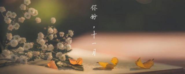 11月说说