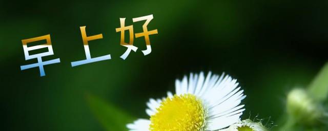 早上好的幽默句子有哪些