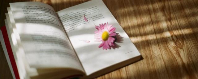 鼓励孩子读书的诗句