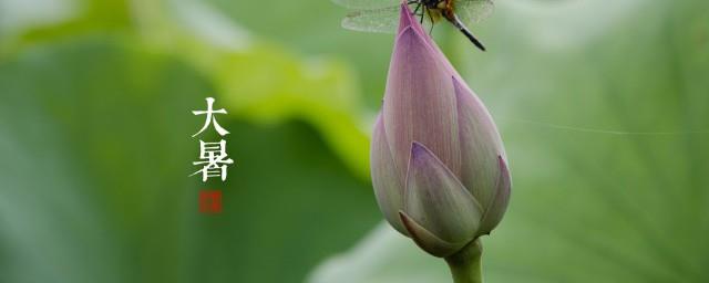 大暑的内容怎么写