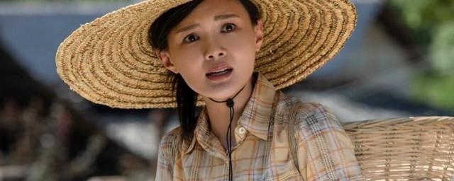 电视剧麦香大结局