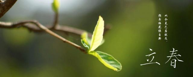 立春祝福朋友圈句子
