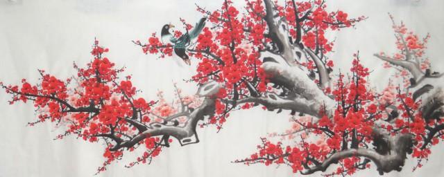 梅花风水禁忌