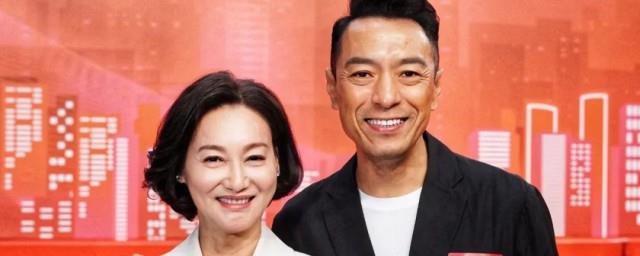 刑侦日记大结局什么意思