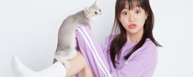 胡意旋个人资料