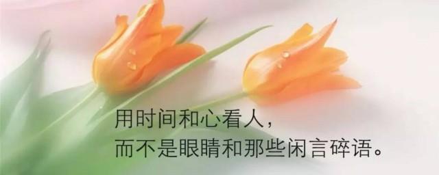值得深思的经典说说