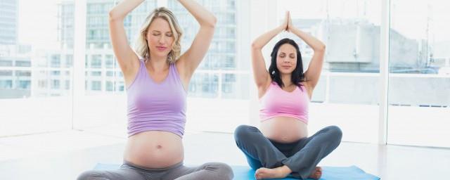 孕妇可以喝的养生茶有哪些