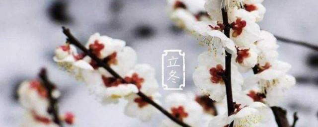 关于立冬节气的祝福语