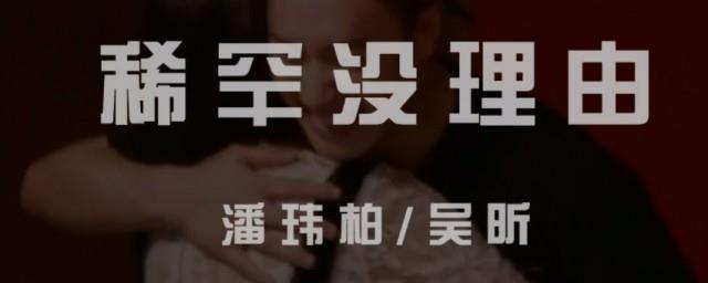 稀罕没理由歌词意思