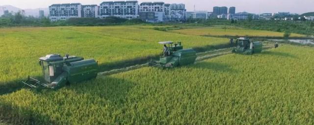 2017年种植什么有补贴