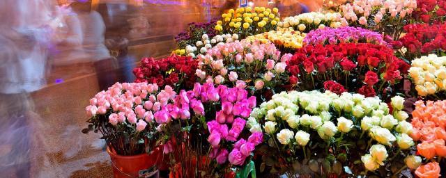 11玫瑰花代表什么意思