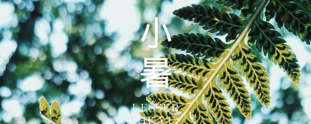 小暑风不动下一句谚语
