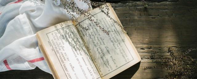 圣墟故事梗概