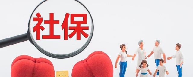 怎么查个人社保缴费记录