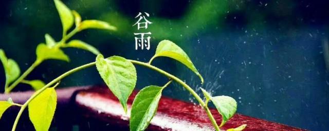 2022年三月二十日谷雨节气有什么宜忌