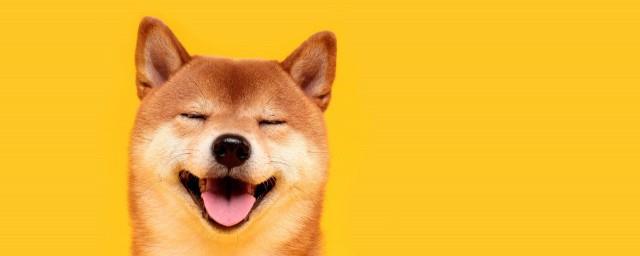 搞怪文案短