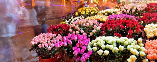 父亲节送花送什么花