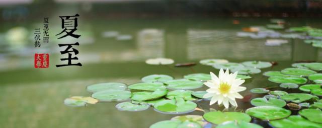 夏至的经典句子