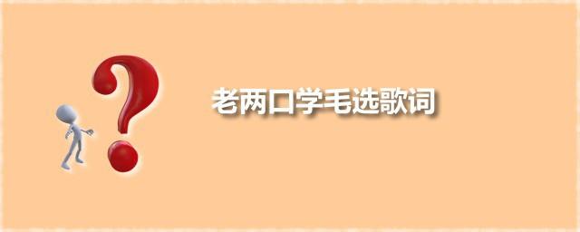 老两口学毛选歌词