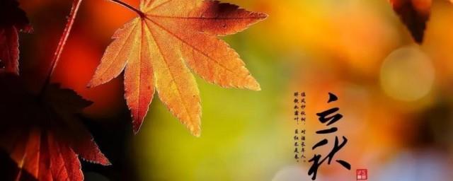 立秋的文案