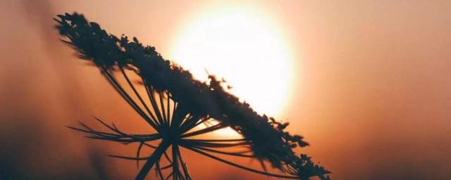 超扎心的一句伤感说说