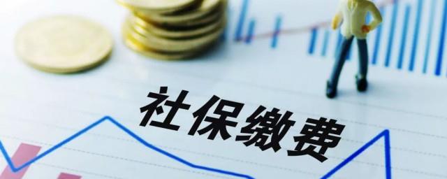 社保基数什么意思