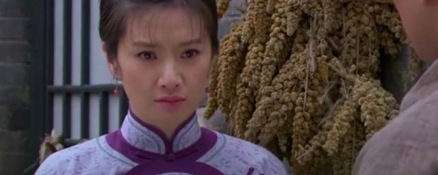 大宅院里的女人所有人结局