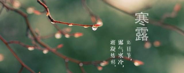寒露节气祝福