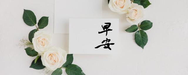 每日一条早安文案