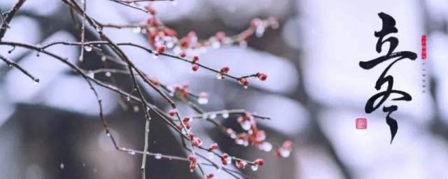 立冬节气是冬至节气吗
