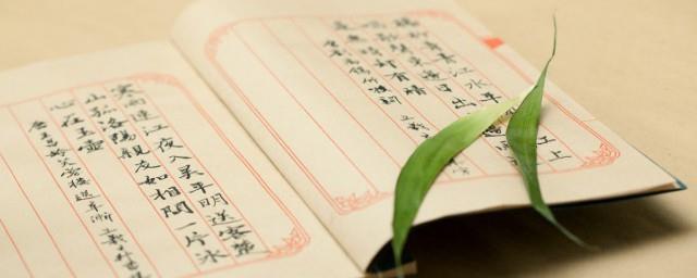 二乙子什么意思