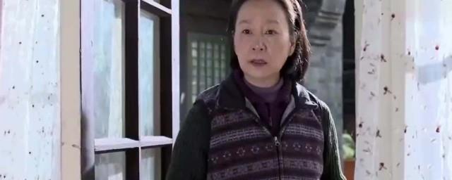 老有所依保姆最后结局