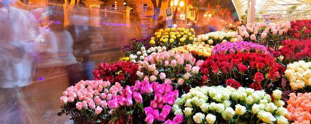 花语大全寓意