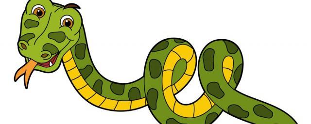 赖皮蛇是什么蛇