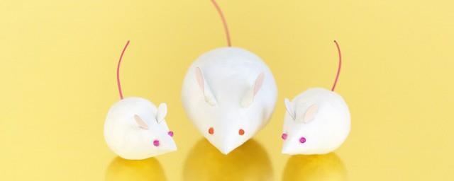 梦见小白鼠是什么意思
