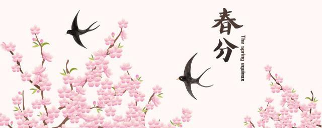 春分三候的意思是什么