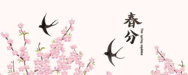 春分为什么不叫春至