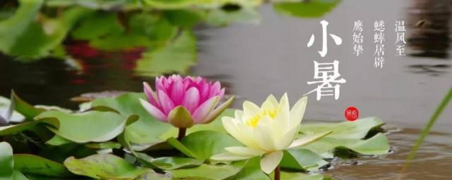 小暑文案激励