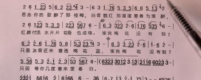 梅花泪歌词简谱