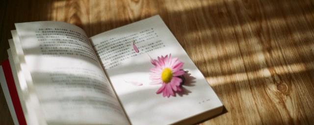 秦淮八艳指的是哪八个人