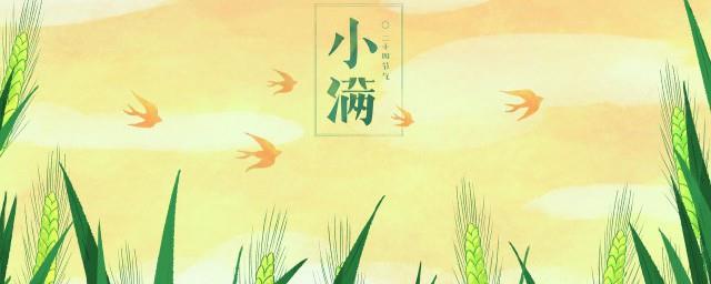 节气小满是什么意思